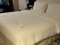 -上海虹桥西郊假日酒店