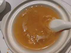 -新同乐鱼翅酒家(美丽华店)