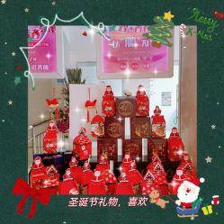 -SILKTONE诗丽堂美容