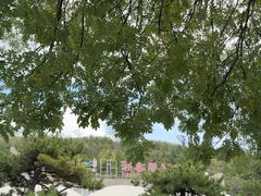 -崆山白云洞