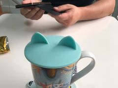 -喵的天空名猫咖啡馆·撸猫·猫舍·用品