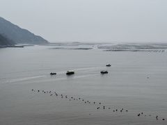 -北岐滩涂