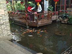 -鹅城