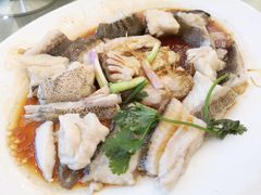 -龙悦湾酒家·八阵鱼生·渔人码头店