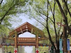 -野鸭湖国家湿地公园