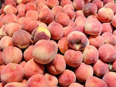 -盛福小关菜市场