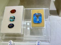 -安徽省地质博物馆