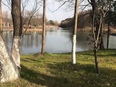 -梁鸿国家湿地公园
