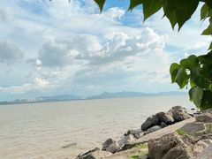 -深圳湾公园(南山区)