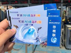 -芜湖新华联大白鲸海洋公园