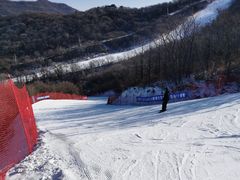 -东北亚滑雪场