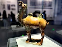 -贵州省博物馆(新馆)