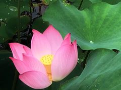-天目湖涵田度假村