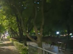 -南翔镇银翔湖公园