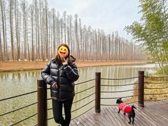 -黄海国家森林公园