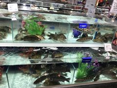水产区-盒马鲜生(新都心店)