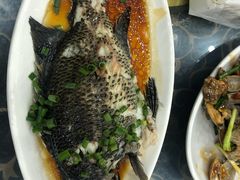 -七鲜渔港美食餐厅(巽寮湾海景店)