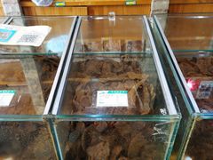 -青松牛肉干(大名路店)