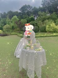 -巴黎经典婚纱摄影PARISSIC