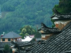 -杨家堂村