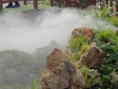 -石家庄市植物园