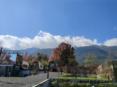 -云禾壹海景庄园餐厅