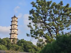 -江心屿景区