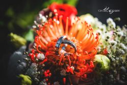 -HY小曼wedding·TOPYOUNG团队