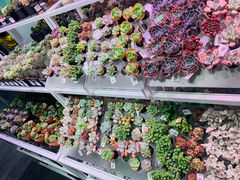 -KKV(深圳宏发大仟里店)