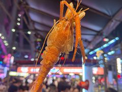 -海心沙亚运公园