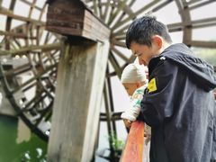 -重庆彩云湖湿地公园