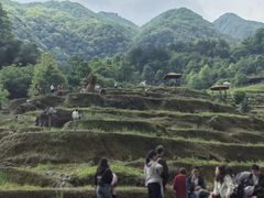 -石台牯牛降景区