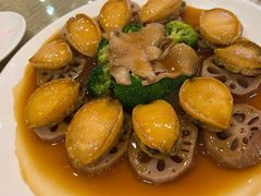-新世纪大酒楼·30年南海菜