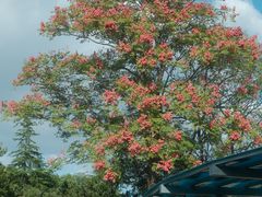 -白塘生态植物园