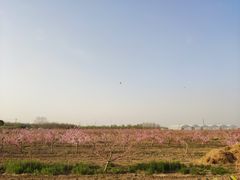 -汉长安城未央宫国家考古遗址公园