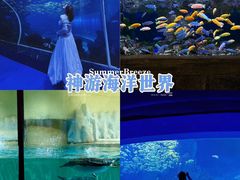 -威海华夏城景区