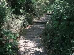 -杭州半山国家森林公园