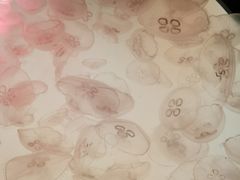 -沈阳海洋探索中心