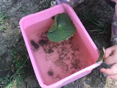 -滆湖低碳生态公园