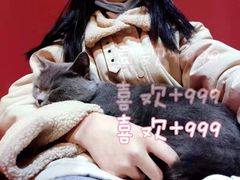 -猫色咖啡·猫咖