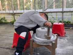 -前小桔亲子创意农场·草莓采摘·露营烧烤