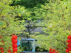 -广州市帽峰山景区