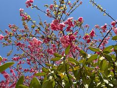 -名花谷生态庄园