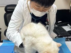 -美联众合爱康动物医院•复杂内科•肿瘤科•牙科•腔镜诊疗中心