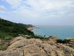 -广东惠东海龟国家级自然保护区