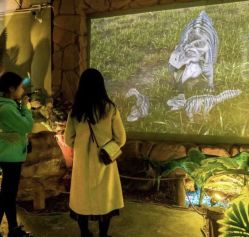 -恐龙探索乐园(磁器口店)