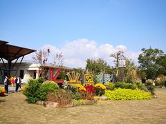 -上海长兴岛郊野公园