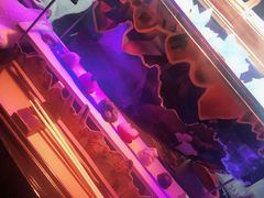 -地球美食剧场