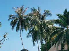 -中央格兰德岛温泉度假酒店 - 全包