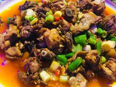 -巴特餐饮6加1音乐餐吧·新疆菜
